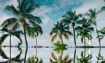 Fotoreise Hawaii